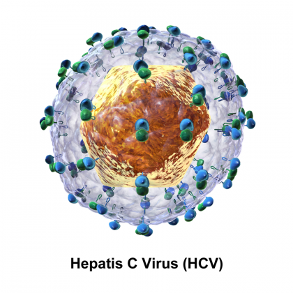 hcv